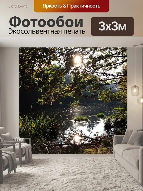 Фотообои Лес