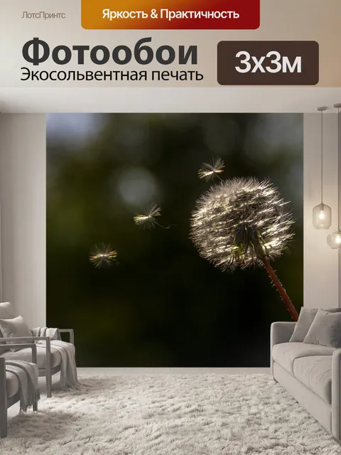 Фотообои Одуванчик