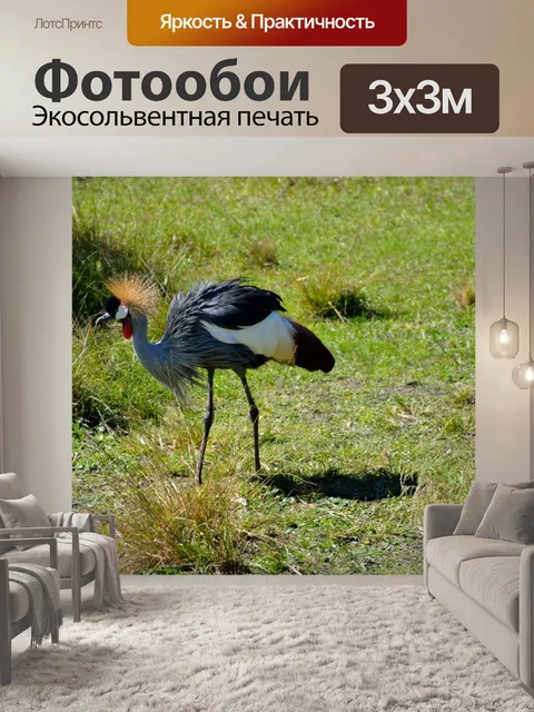 Фотообои Западной Африки журавлей