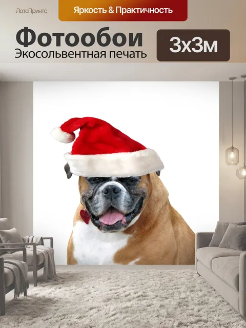 Фотообои Рождество собак Санта Hat