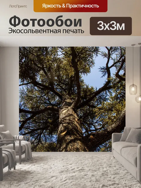 Фотообои Дерево