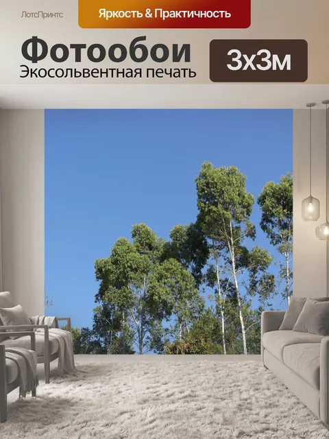 Фотообои Голубое небо