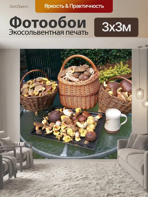 Фотообои Грибы