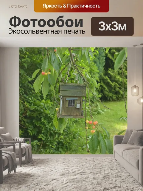 Фотообои Кормушка для птиц