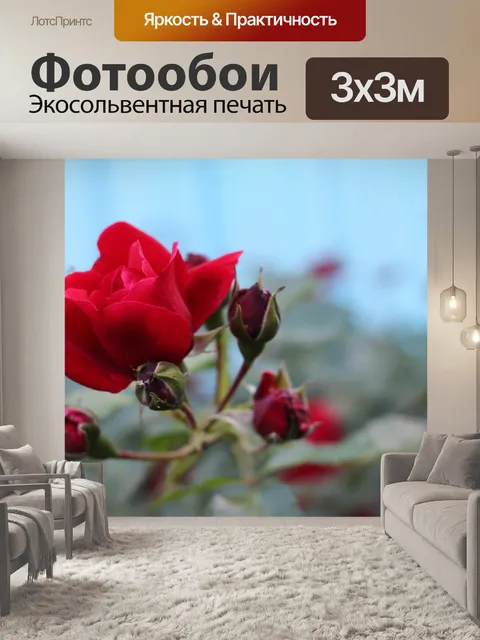 Фотообои Роза