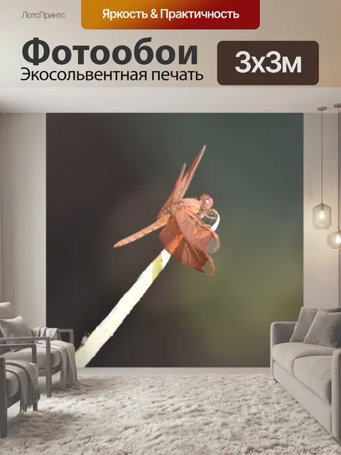Фотообои Бункер