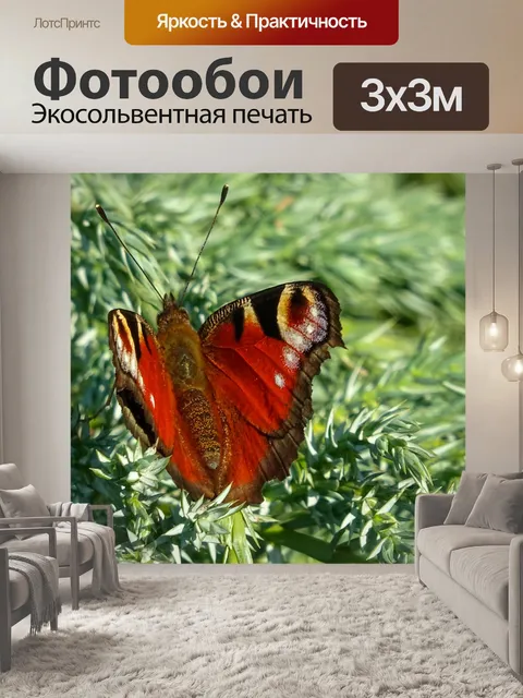 Фотообои Садовая бабочка