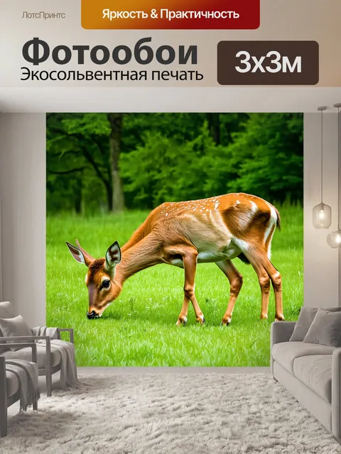 Фотообои олени, мирно пасущиеся на лужайке весной