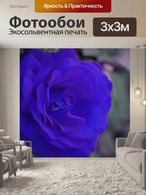 Фотообои Синяя роза