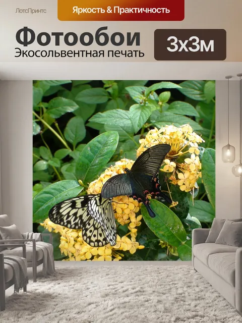 Фотообои Бабочки