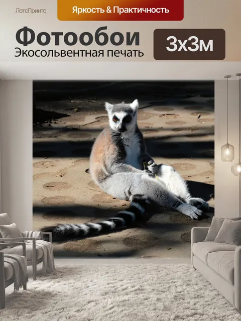 Фотообои Кошачий лемур 11