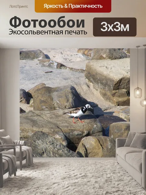 Фотообои Птица
