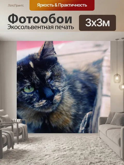 Фотообои Кот