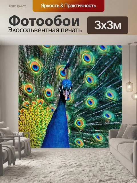 Фотообои Перья павлина птица оперение павлина