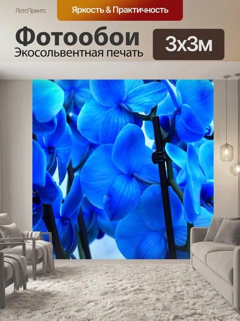 Фотообои Орхидеи