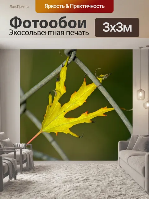 Фотообои Лист