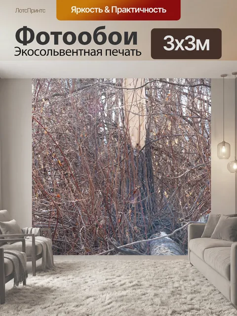 Фотообои Упавшее дерево в лесу