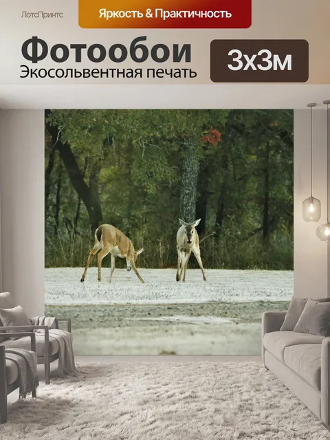Фотообои Белохвостый олененок играет осенью