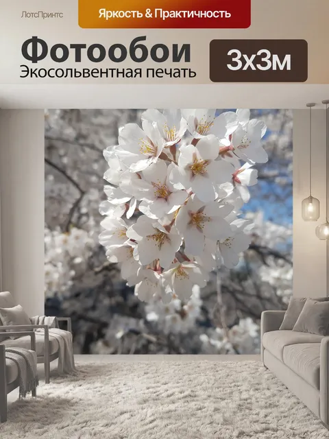 Фотообои Вишни в цвету