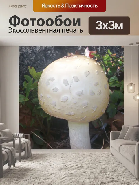 Фотообои Гриб