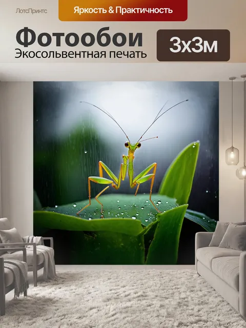 Фотообои в дождливом сумерке, богомол с каплями воды на теле, медленно подкрадывается к своей жертве…