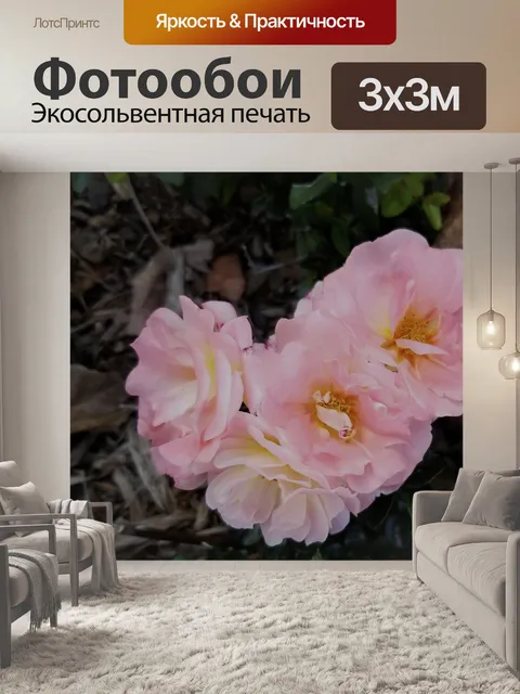 Фотообои Светло-розовые розовые розы
