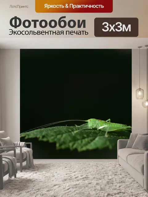 Фотообои Кузнечик