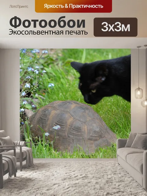 Фотообои Кошка