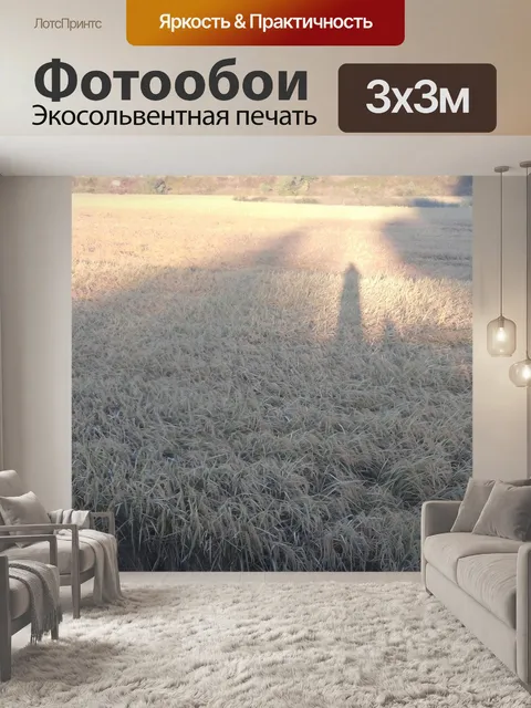 Фотообои Заход солнца