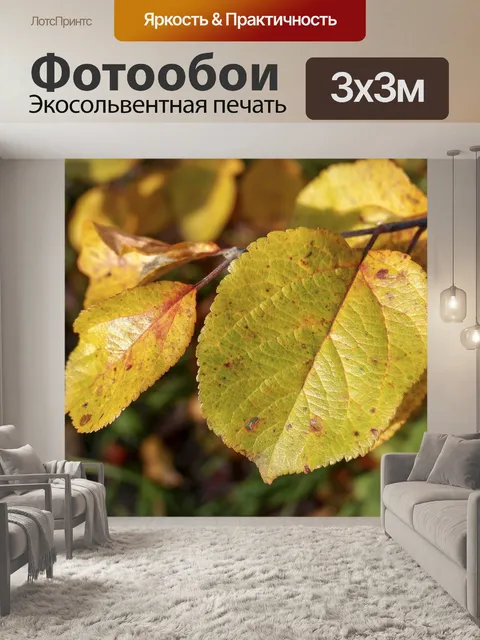 Фотообои Ветка