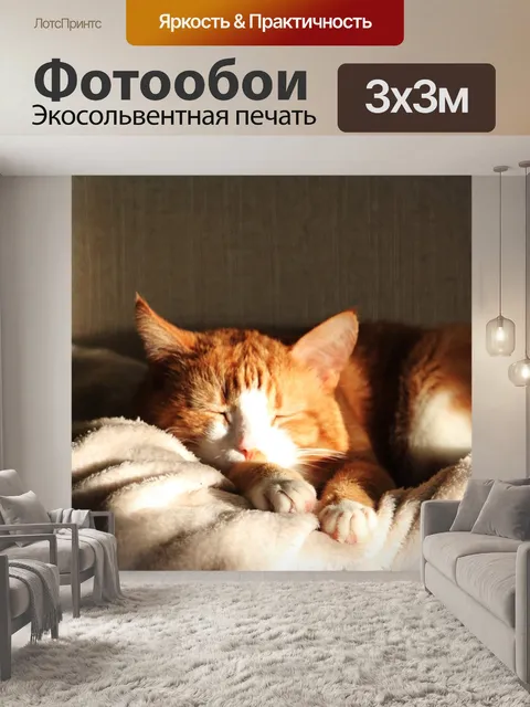 Фотообои Кот