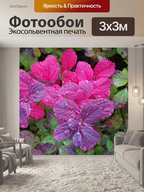 Фотообои Осенние листья