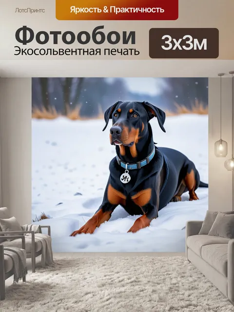 Фотообои добрман в зимнем пейзаже, играющий в снегу