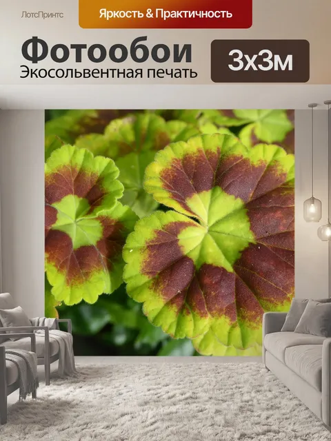 Фотообои Художественные листья
