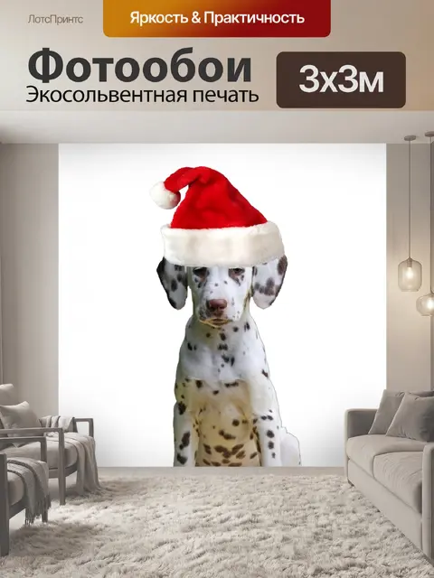 Фотообои Рождество собак Санта Hat