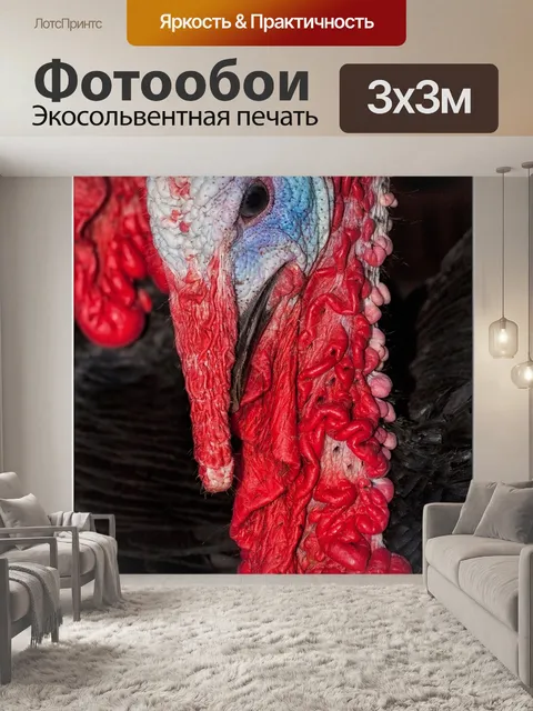 Фотообои Турция