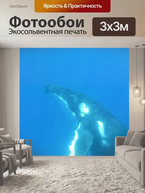 Фотообои Горбатый кит