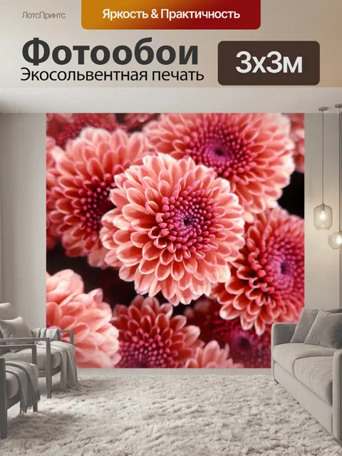 Фотообои Цветы розовые цветы георгины