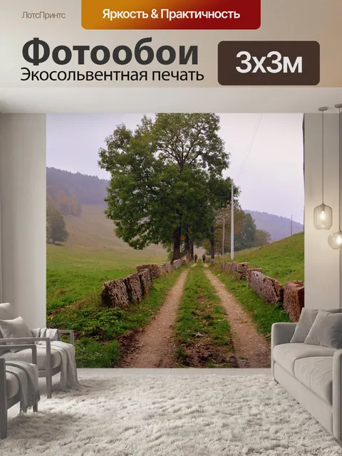 Фотообои Тропа