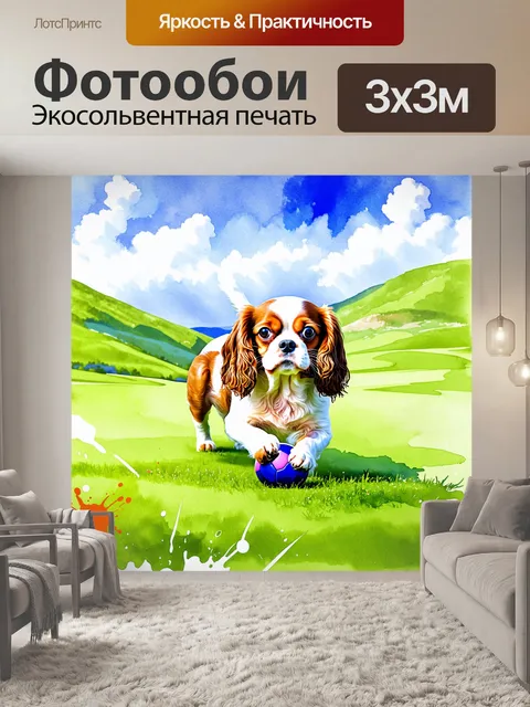 Фотообои кавалер кинг чарльз спаниель, играющий с мячиком на зеленом лугу, окруженном живописными холмами