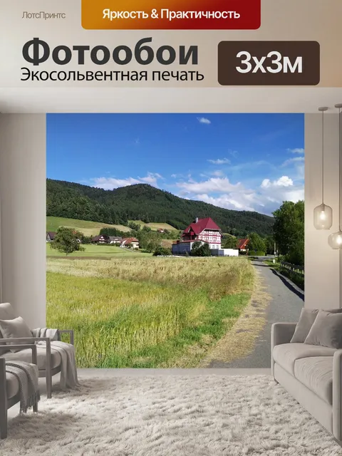 Фотообои Черный лес