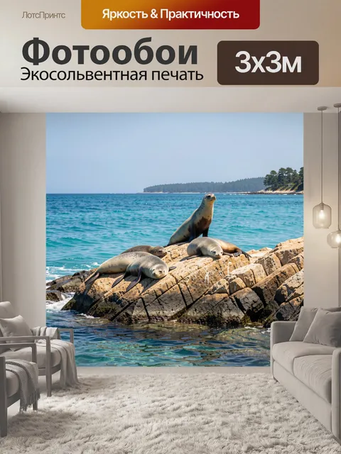 Фотообои Тюлени на морских скалах