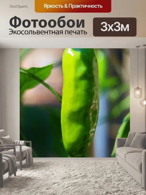 Фотообои продолговатый зеленый сладкий перец