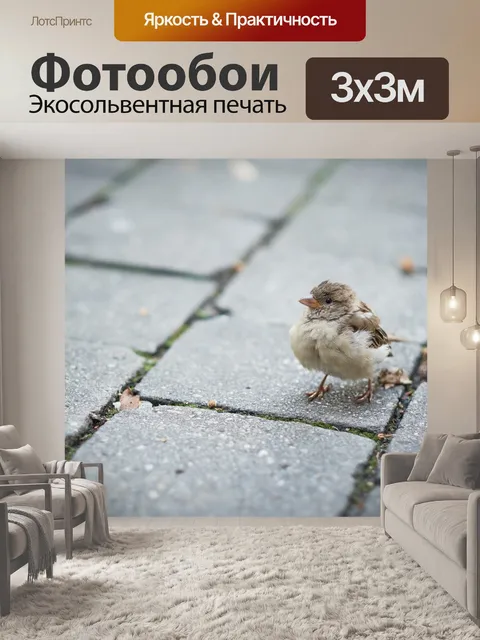 Фотообои Птица