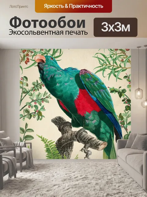 Фотообои Попугай старинный художественный плакат