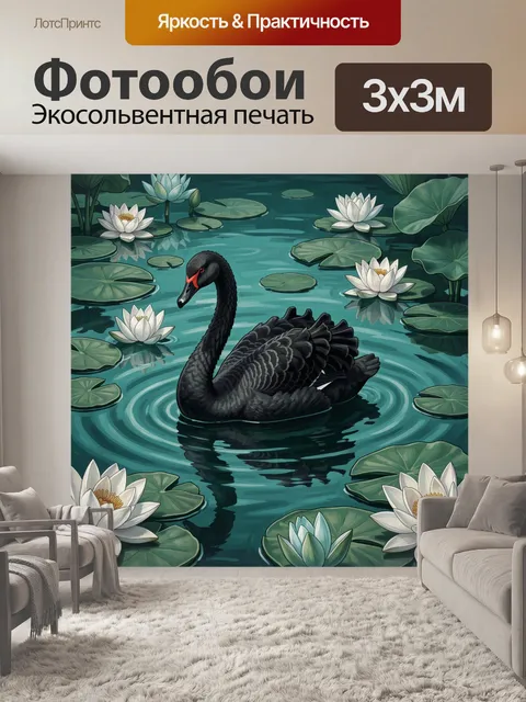 Фотообои Черный лебедь в пруду с лилиями