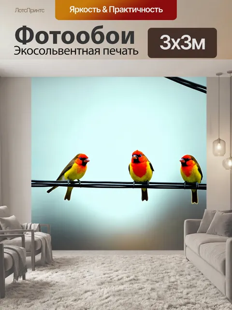 Фотообои животные в стиле боке, симпатичные птички на электрических проводах, многослойный мягкий фон