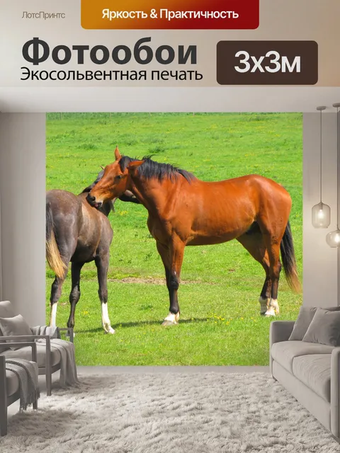 Фотообои Cuddle между лошадями