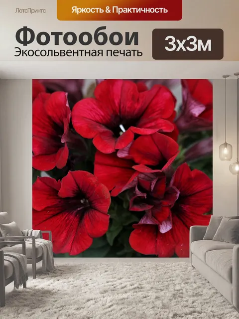 Фотообои Красные цветы петунии крупным планом