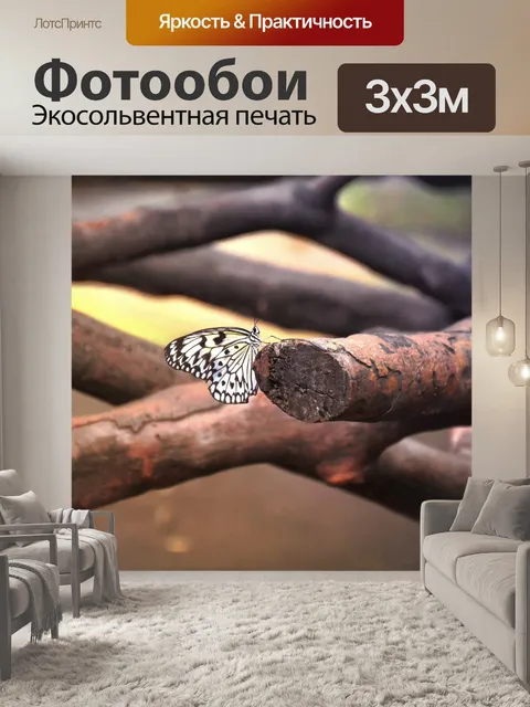 Фотообои Бабочка